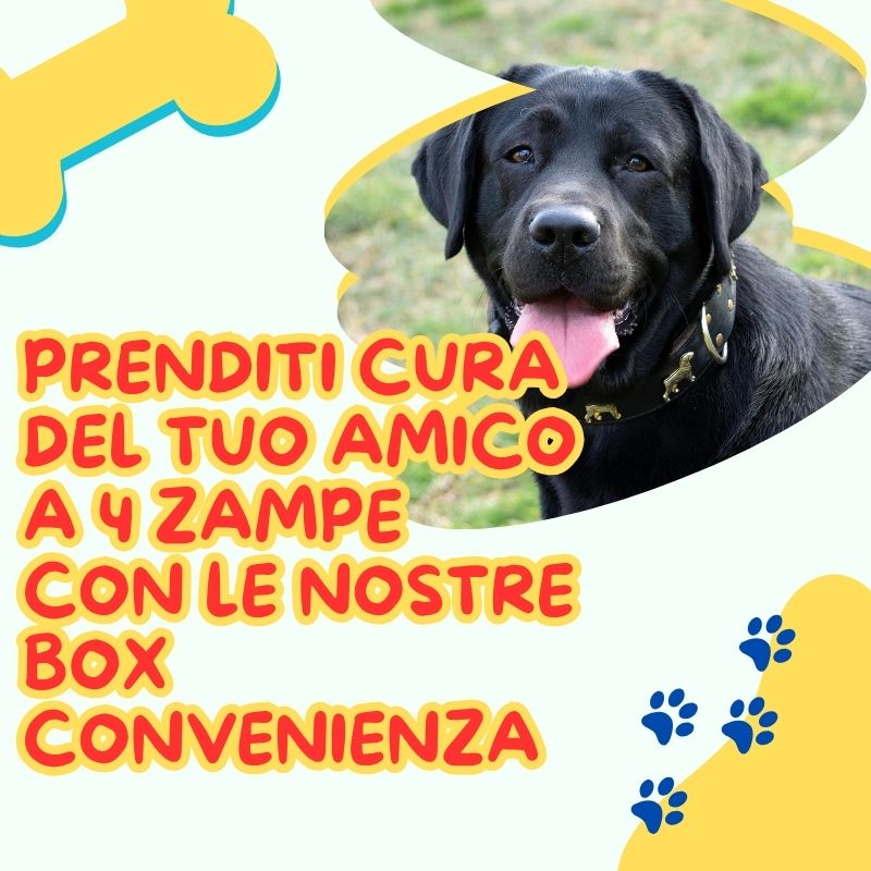 Prenditi cura del tuo amico a 4 zampe con le nostre box convenienza (4).jpg