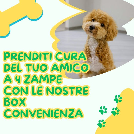 Prenditi cura del tuo amico a 4 zampe con le nostre box convenienza