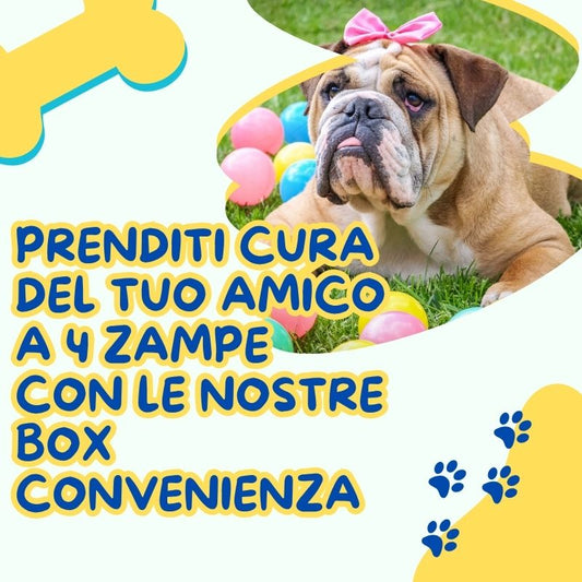 Prenditi cura del tuo amico a 4 zampe con le nostre box convenienza