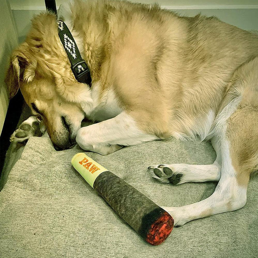 Interactive Cigar Dog Toy - Squeaky and Teething Plush for Small and Medium Breeds