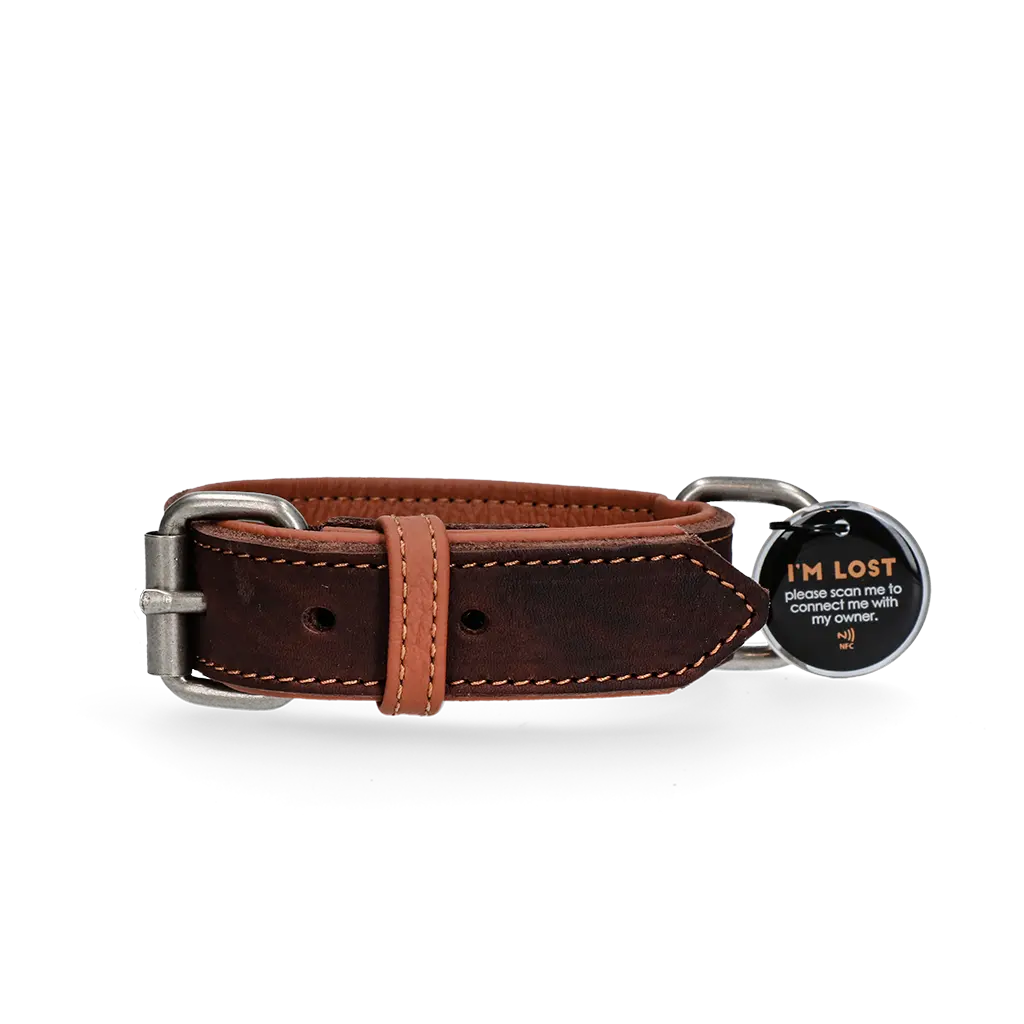 Collare in pelle marrone Spotted! Pro con tag digitale NFC/QR per cani.​