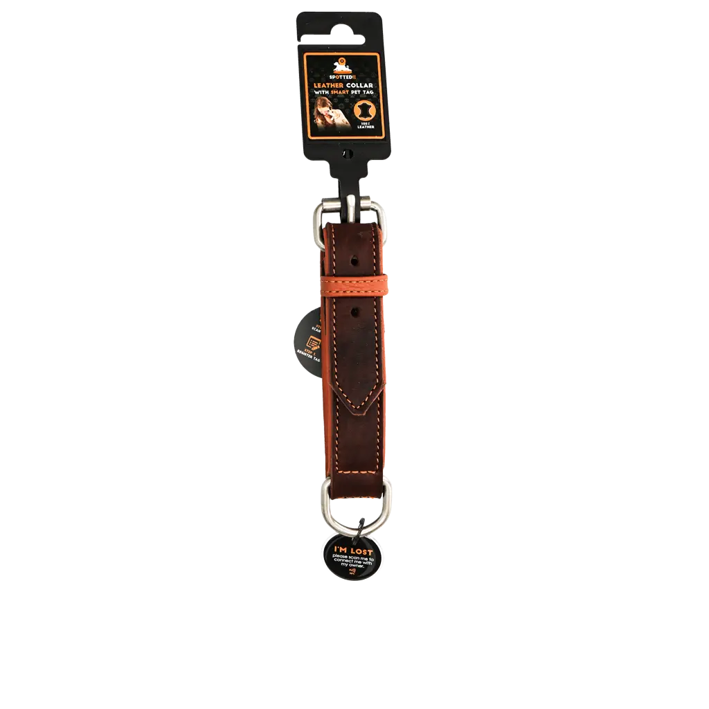 Collare in pelle marrone Spotted! Pro con tag digitale NFC/QR per cani.​