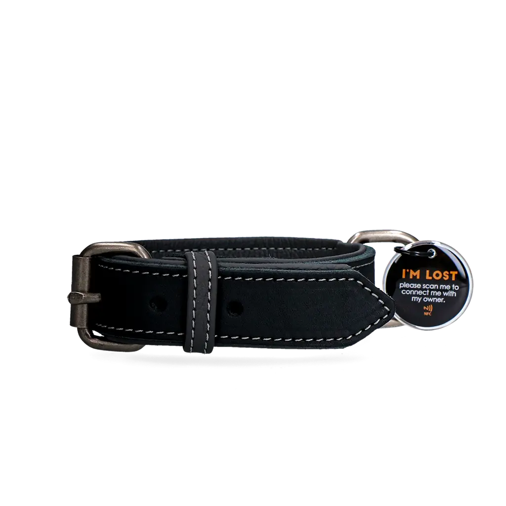 Collare in pelle nero Spotted! Pro con tag digitale NFC/QR per cani.