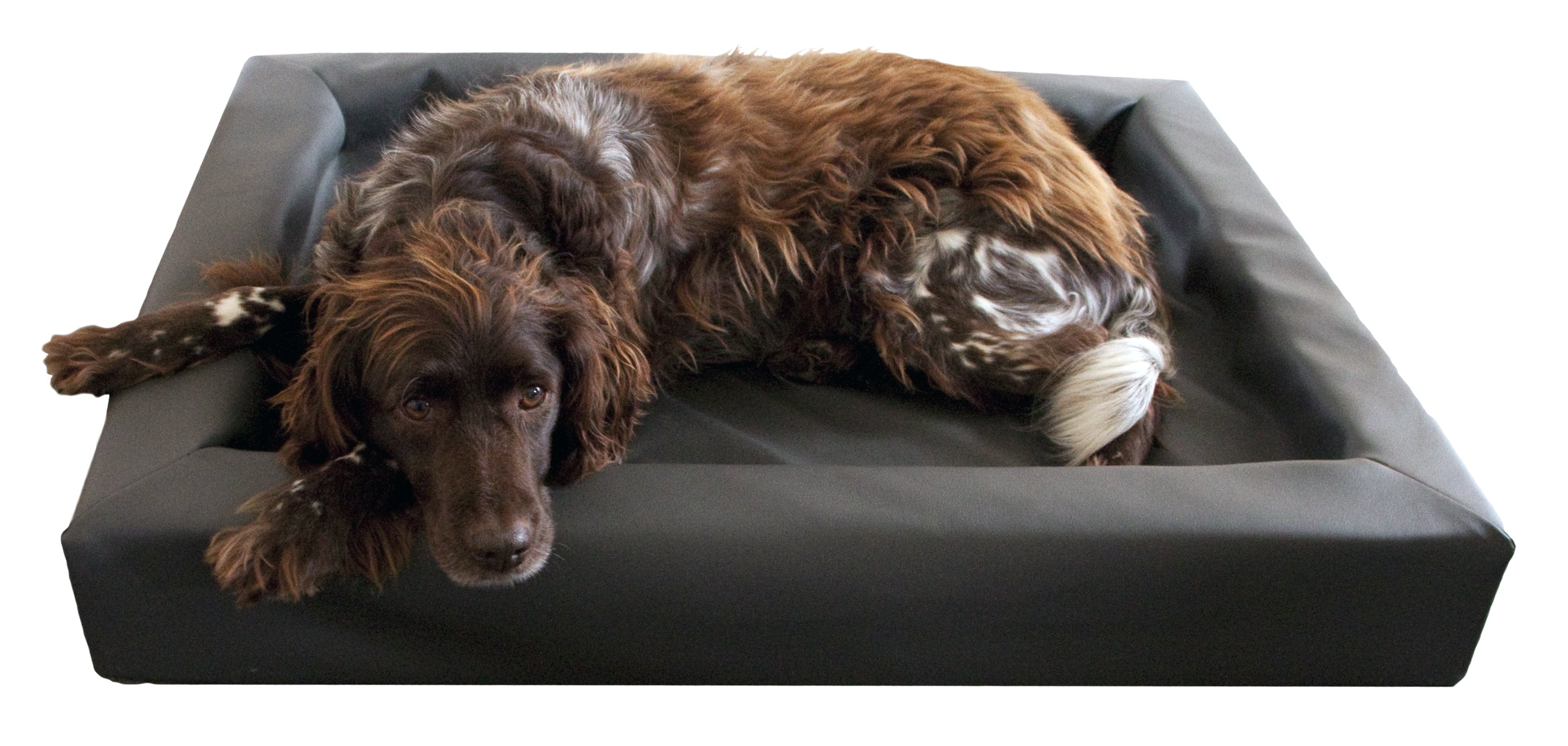Cuccia impermeabile per cane Lounge Dog Bed in similpelle con bordo alto antiallergica