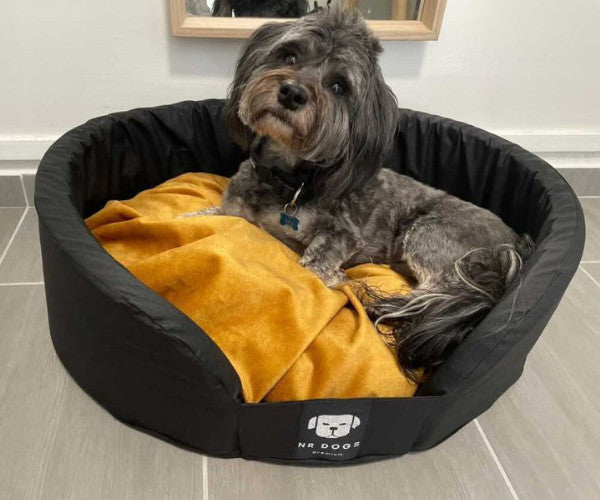 Cuccia per cani NR taglia M (60×53 cm) con cuscino lavabile e lati in schiuma fredda