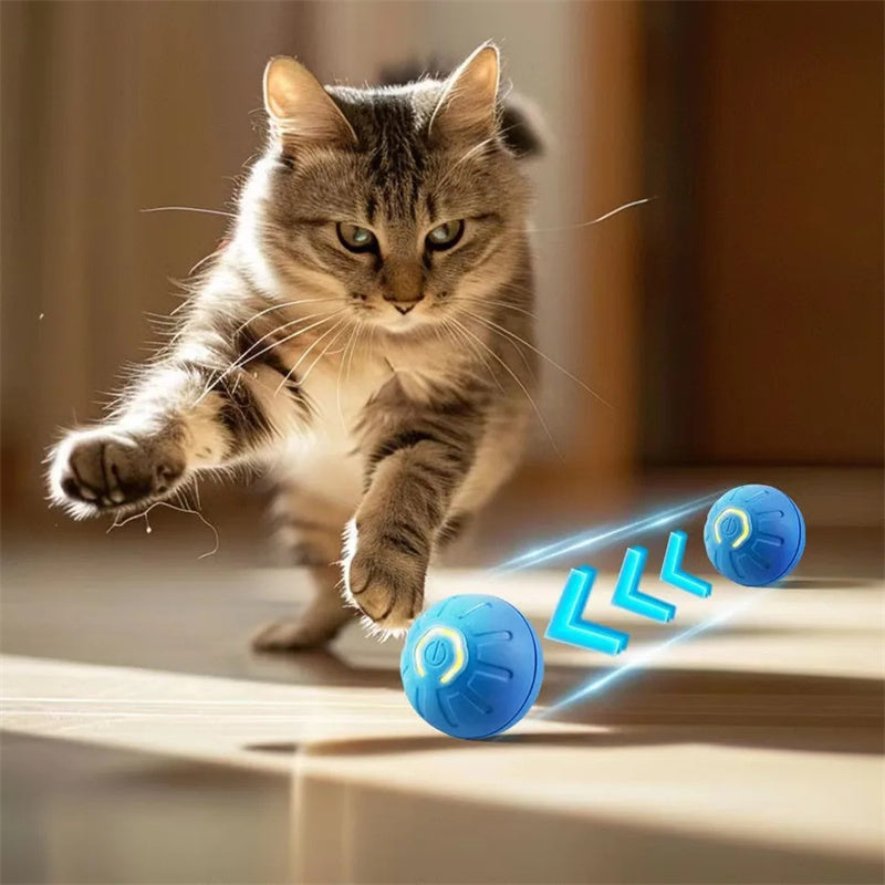 Smart Ball for Dogs and Cats – Interactive, Rechargeable and Durable in TPR