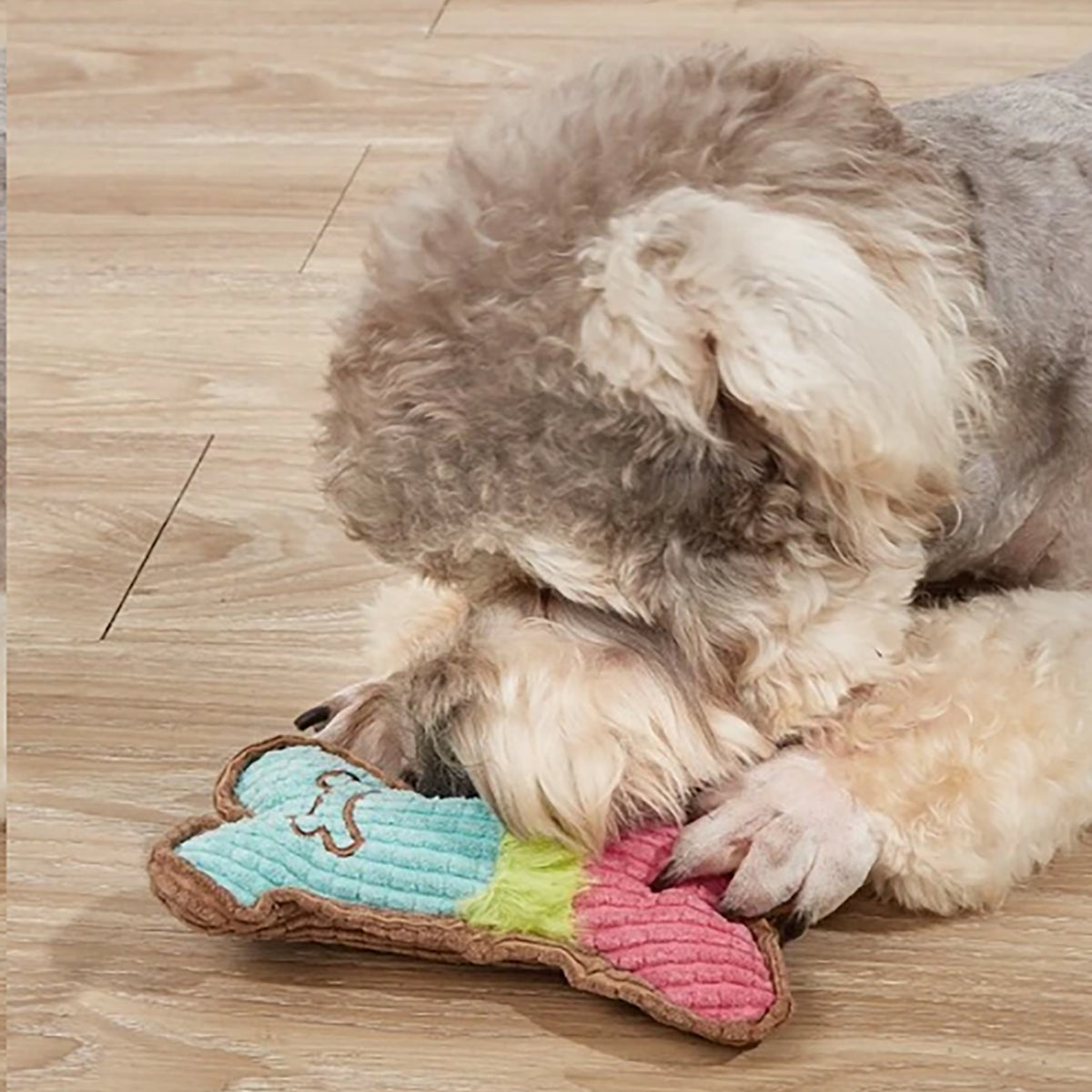 Plush Bone Dog Toy – Soft, Squeaky & Dental for Puppies & Small Breeds