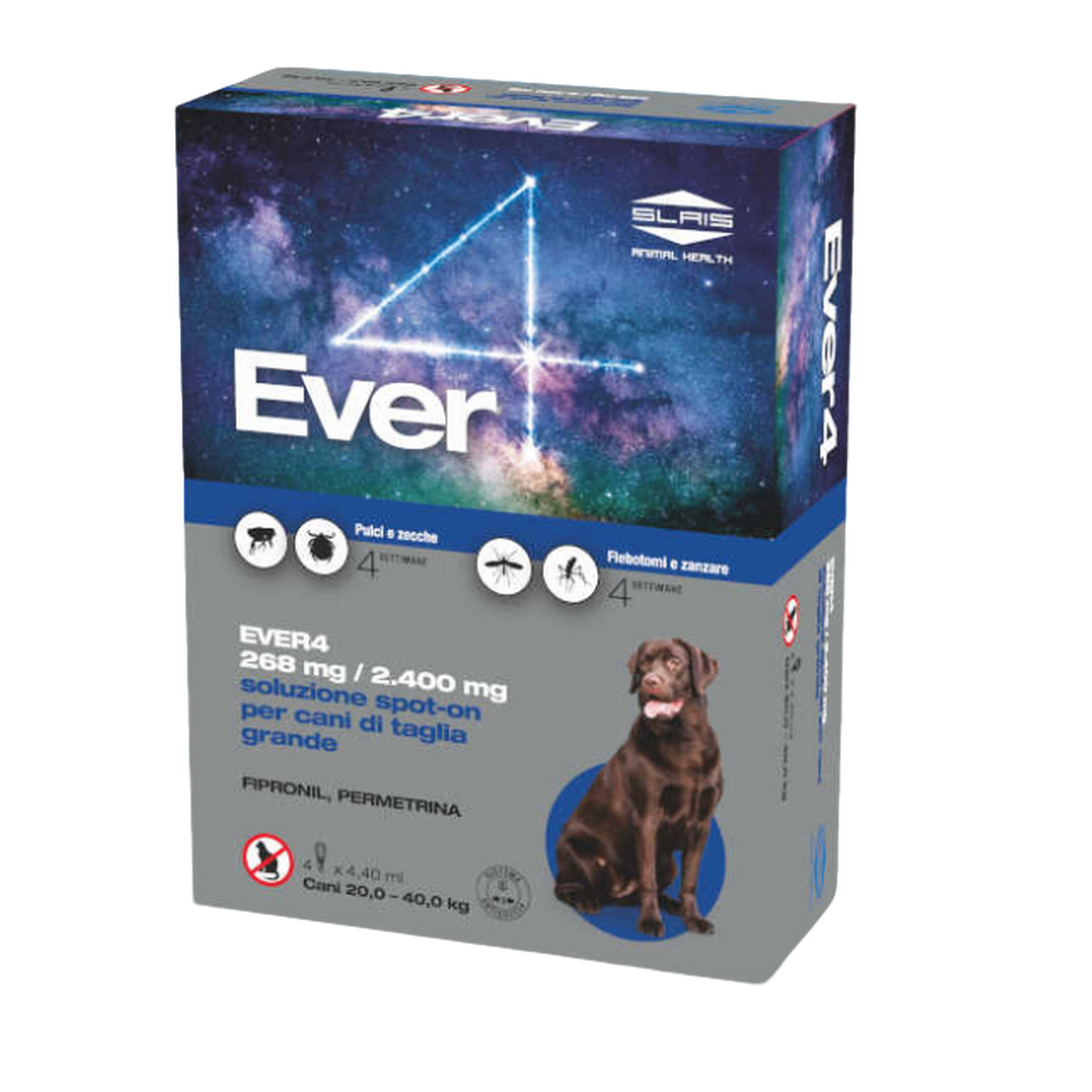 gid://shopify/MediaImage/52349599220054
