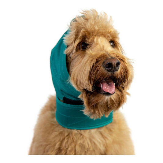 Fascia protettiva per orecchie KVP No Flap™ verde taglia XL per cani – protezione post-operatoria traspirante e regolabile