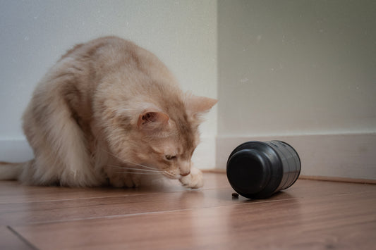 Gioco interattivo Feed & Treat Roller grigio per cani e gatti – Eat Slow Live Longer