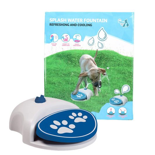 Fontana Interattiva per cani ideale per divertirsi con il proprio cane