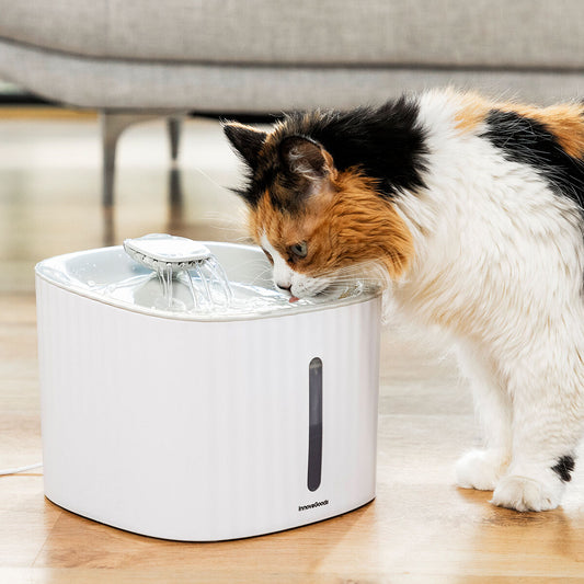 Fontanella per Animali Drinkatt InnovaGoods – Acqua Fresca e Pulita per il Tuo Pet-0