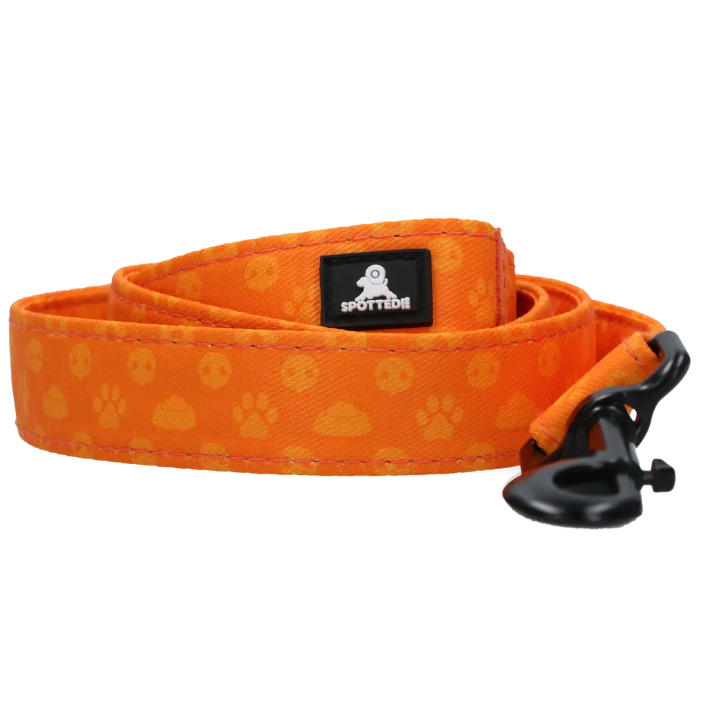 Guinzaglio Spotted! PRO da 120 cm per cani, con moschettone rinforzato e D-ring multifunzione.