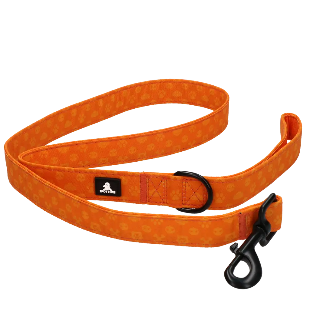 Guinzaglio Spotted! PRO da 120 cm per cani, con moschettone rinforzato e D-ring multifunzione.