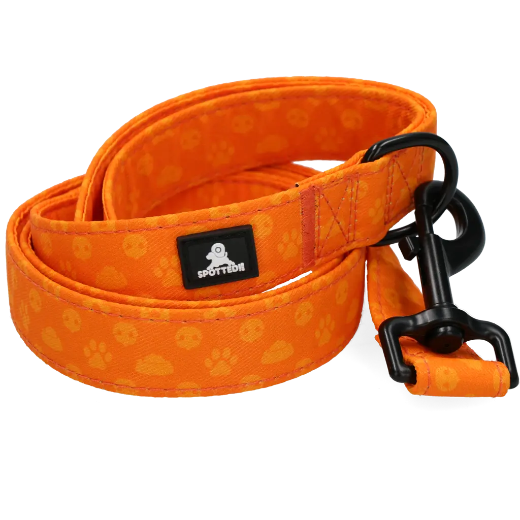 Guinzaglio Spotted! PRO da 120 cm per cani, con moschettone rinforzato e D-ring multifunzione.