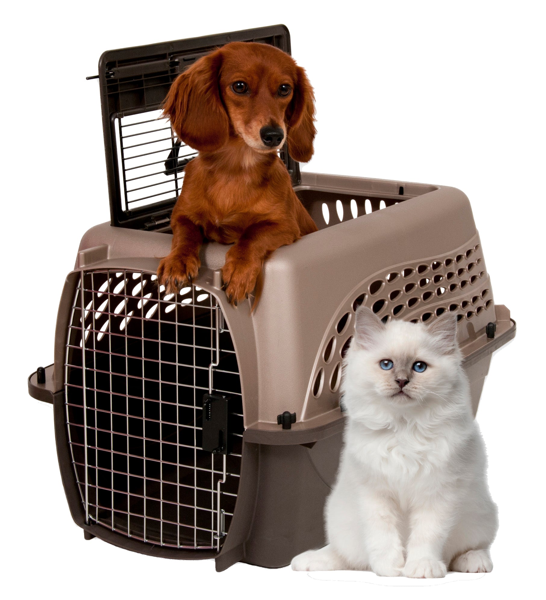 Kennel Petmate ecologico con doppia porta, realizzato in plastica riciclata, con ventilazione a 360°, ideale per casa e viaggi.