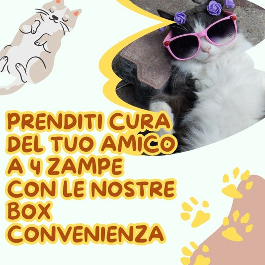 Prenditi cura del tuo amico a 4 zampe con le nostre box
