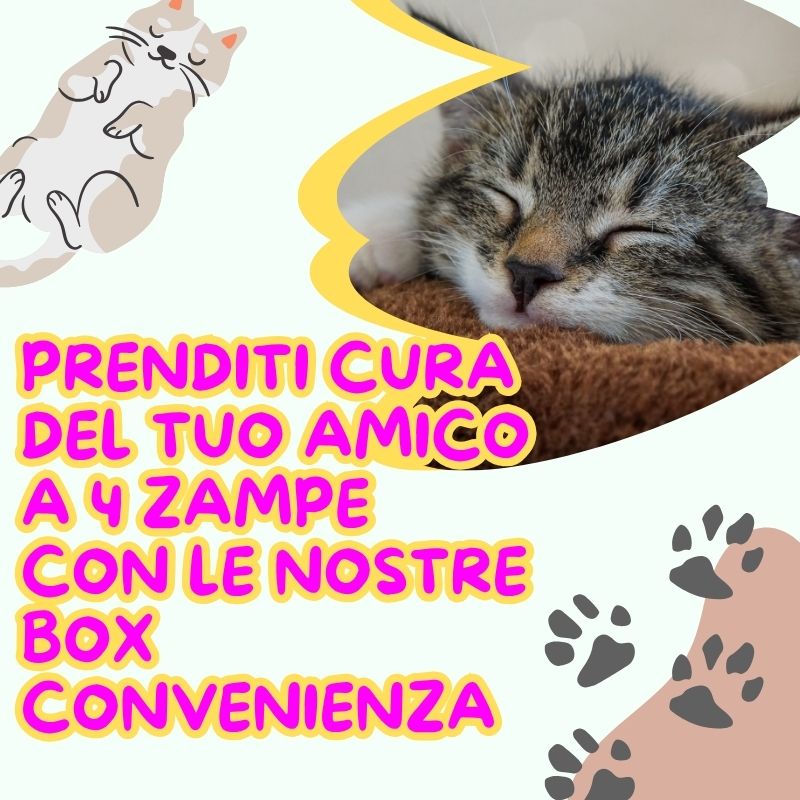 Prenditi cura del tuo amico a 4 zampe con le nostre box.jpg