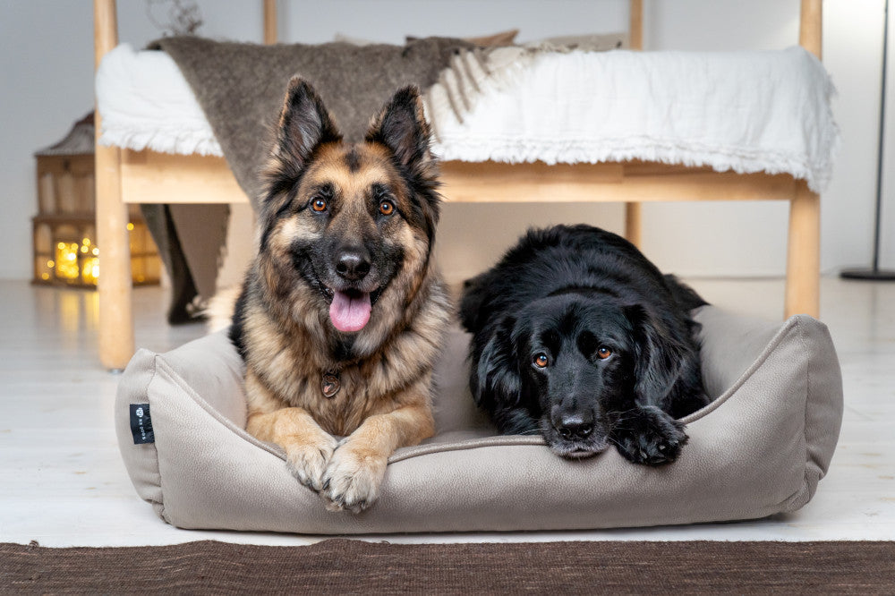 Letto per cani NRDOGS Basket taglia L – sfoderabile, idrorepellente, morbido con imbottitura in schiuma tritata