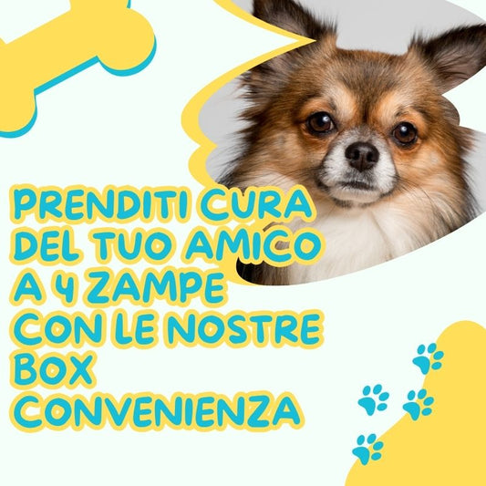 Prenditi cura del tuo amico a 4 zampe con le nostre box convenienza