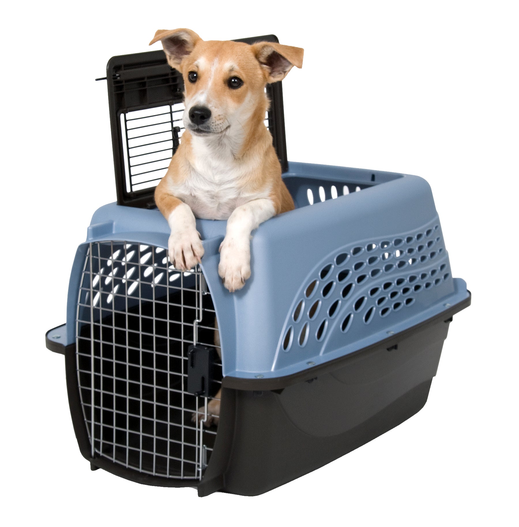 Petmate 2 Door Top Load Kennel S Blu – Trasportino per cani e gatti fino a 9 kg, doppia apertura e ventilazione 360°