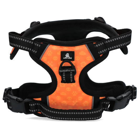 Pettorina PRO Arancione Spotted! con tag digitale NFC/QR integrato per cani.