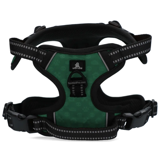 Pettorina PRO Verde Spotted! con tag digitale NFC/QR integrato per cani.