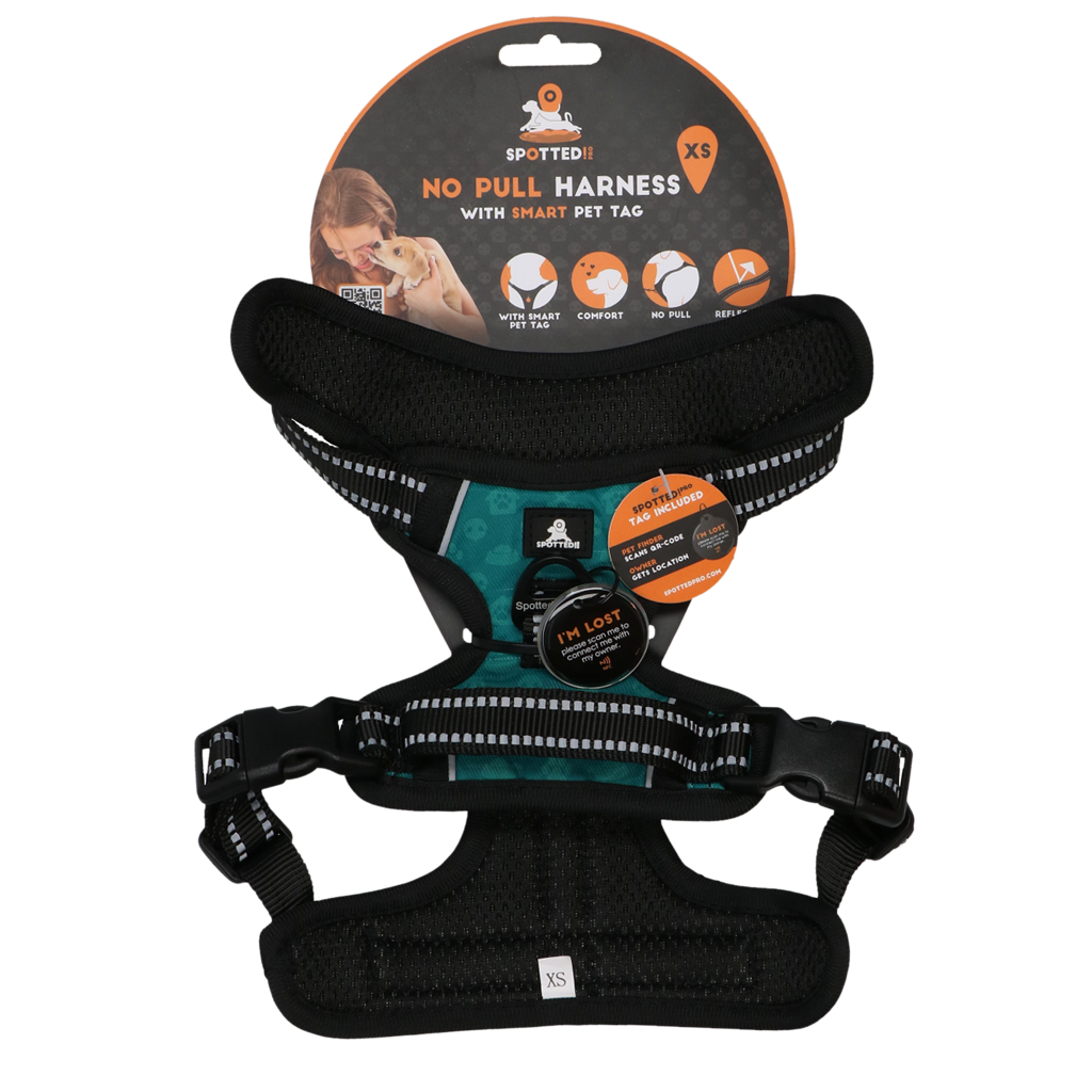 Pettorina PRO Verde Spotted! con tag digitale NFC/QR integrato per cani.