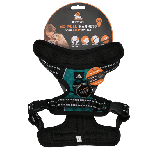 Pettorina PRO Verde Spotted! con tag digitale NFC/QR integrato per cani.