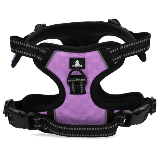 Pettorina PRO Viola Spotted! con tag digitale NFC/QR integrato per cani.