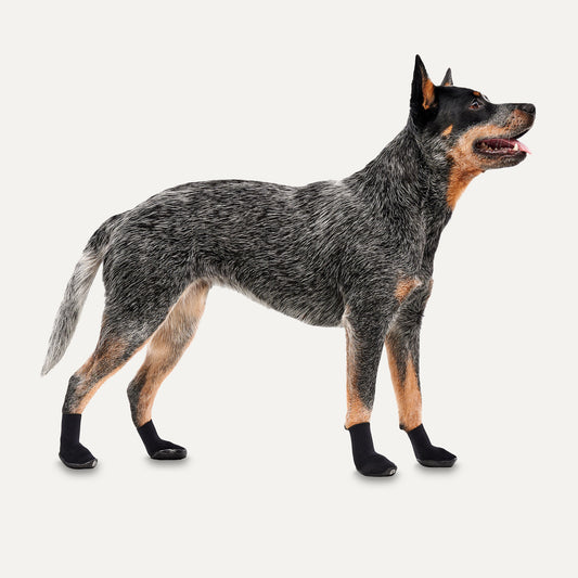 Scarpe tecniche impermeabili per cani taglia 2XS Nero/Nero – Gooeez Ultras