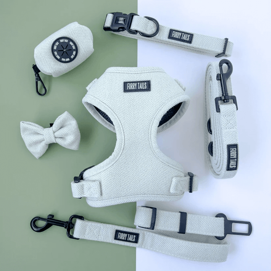 Set pettorina cane menta piperita Furry Tails con accessori coordinati