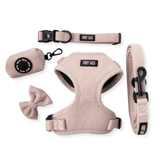 Set pettorina cane tweed verde pesca Furry Tails con accessori coordinati