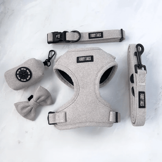 Set completo per cani in tweed marrone Furry Tails con pettorina, collare, guinzaglio e papillon
