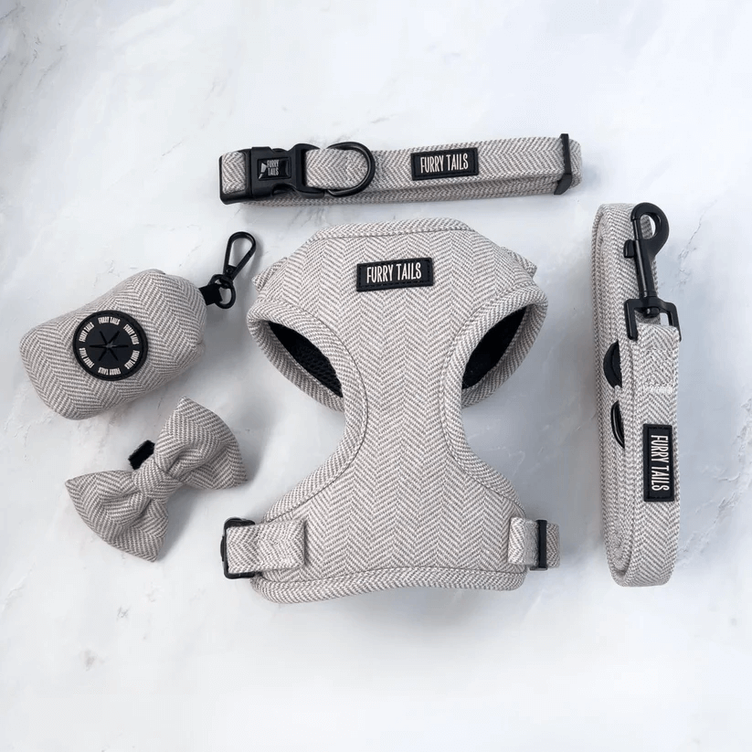 Set completo per cani in tweed marrone Furry Tails con pettorina, collare, guinzaglio e papillon