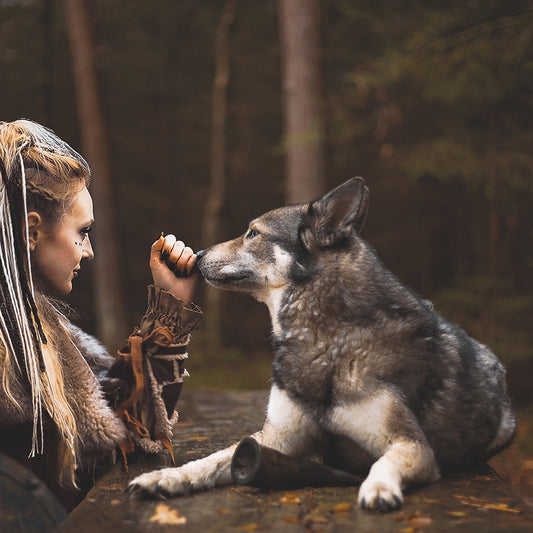 Viking Half Horn per cani taglia L, snack naturale da masticare per l'igiene orale.